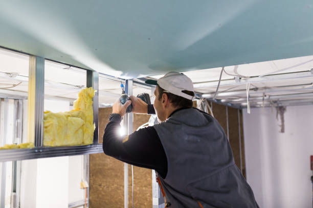 Best Attic Insulation Installation  in Morrisville, NY