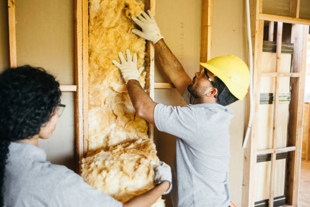 Best Wall Insulation Contractor  in Morrisville, NY