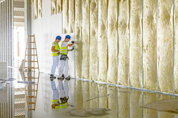 Best Insulation Contractors for Homes  in Morrisville, NY